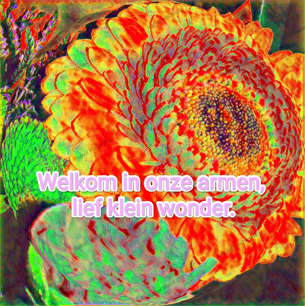 Birth card baby Girl-00017