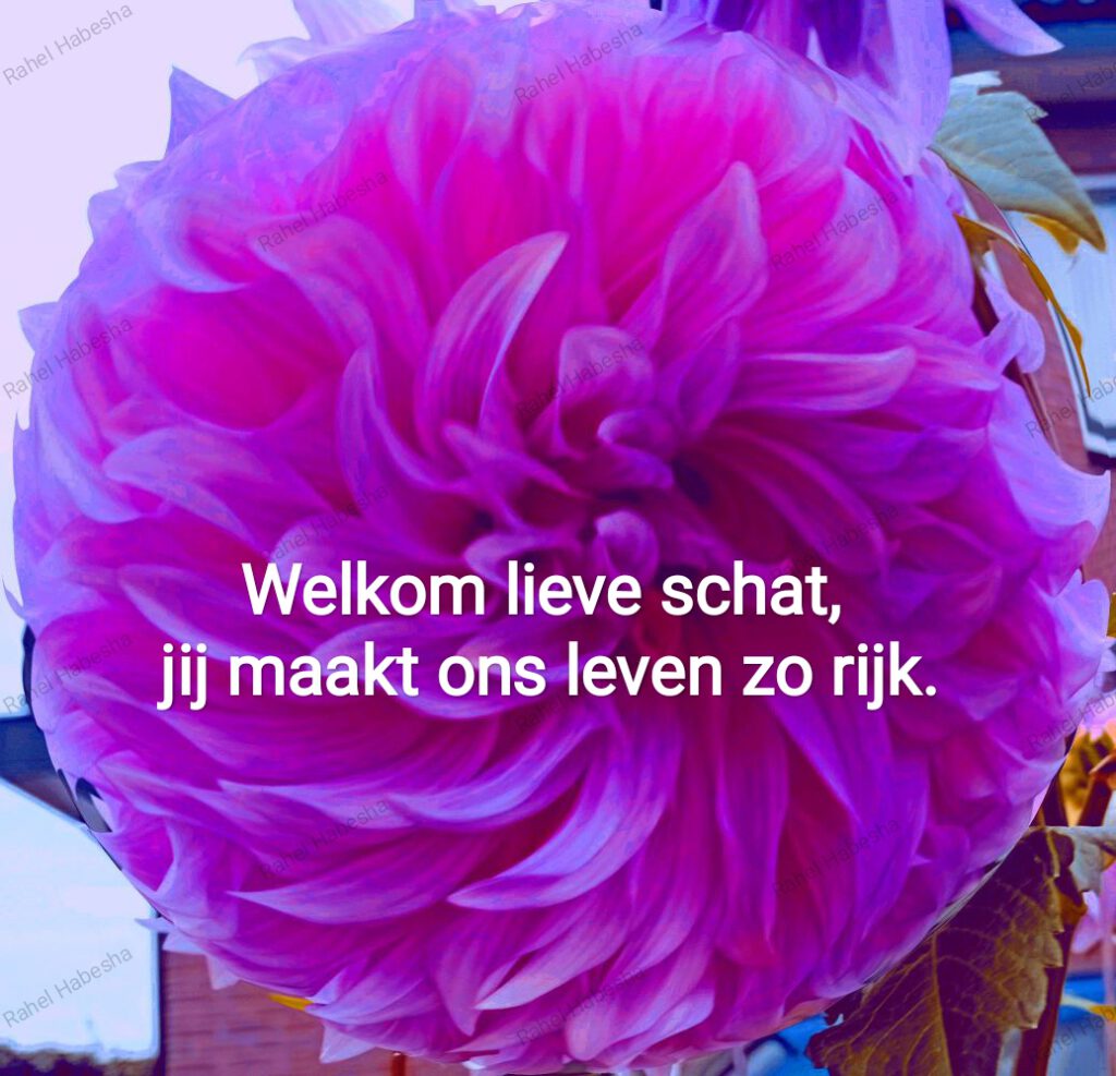 Birth card baby Girl-00016