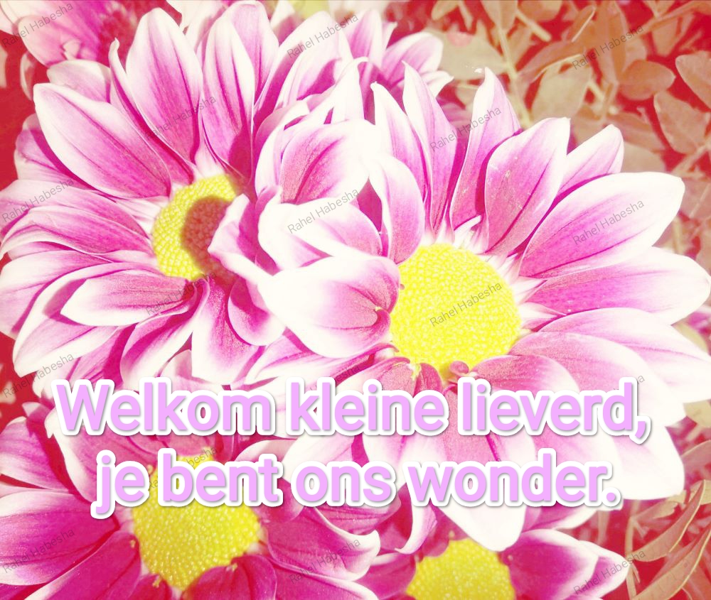 Birth card baby Girl-00015