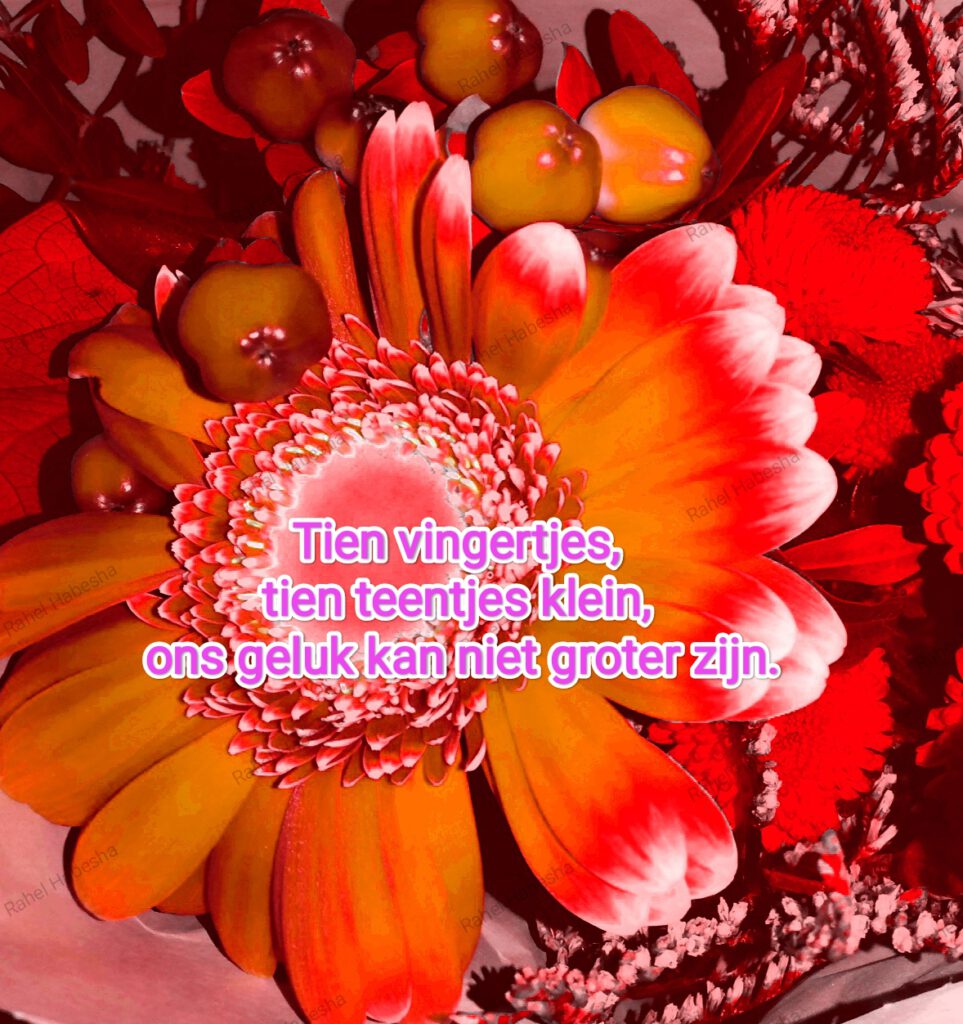 Birth card baby Girl-00012