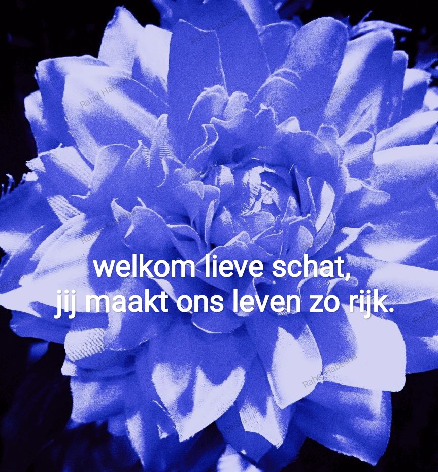 Birth card baby boy-00021