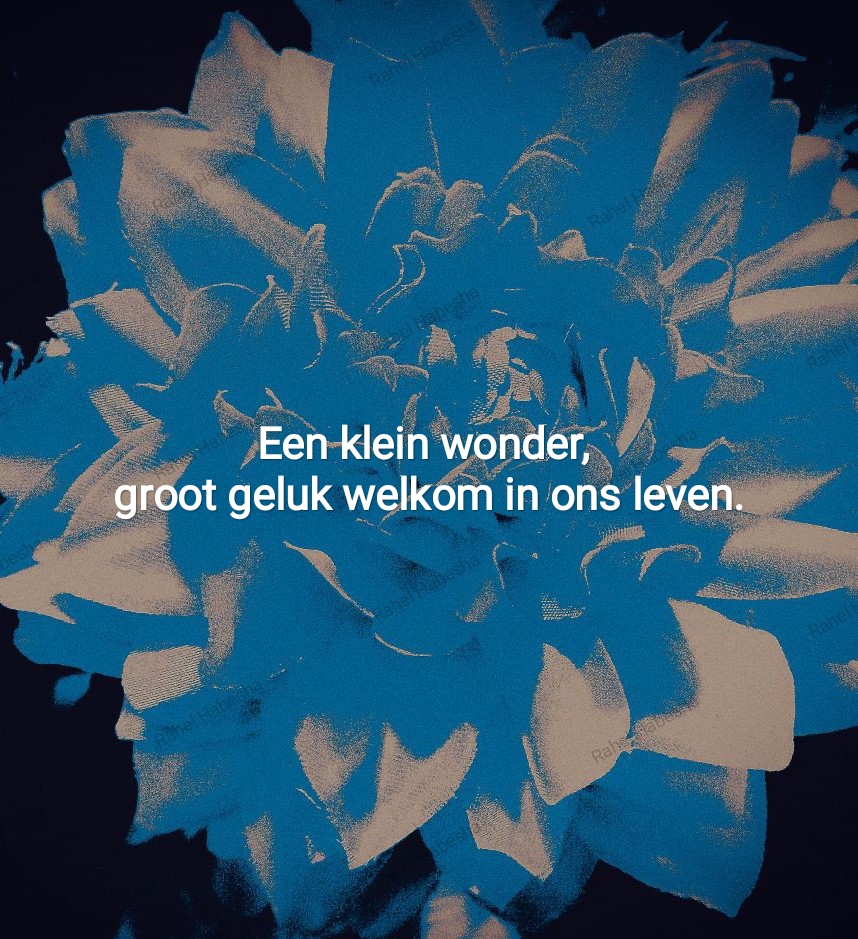 Birth card baby boy-00020