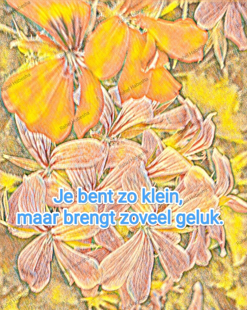 Birth card baby boy-00014