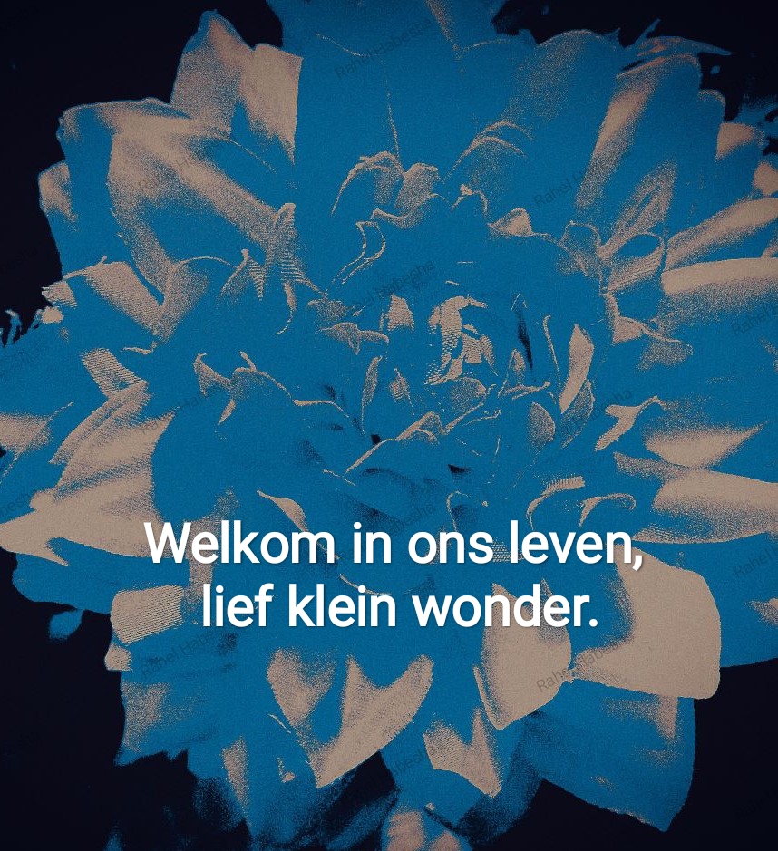 Birth card baby boy-00013