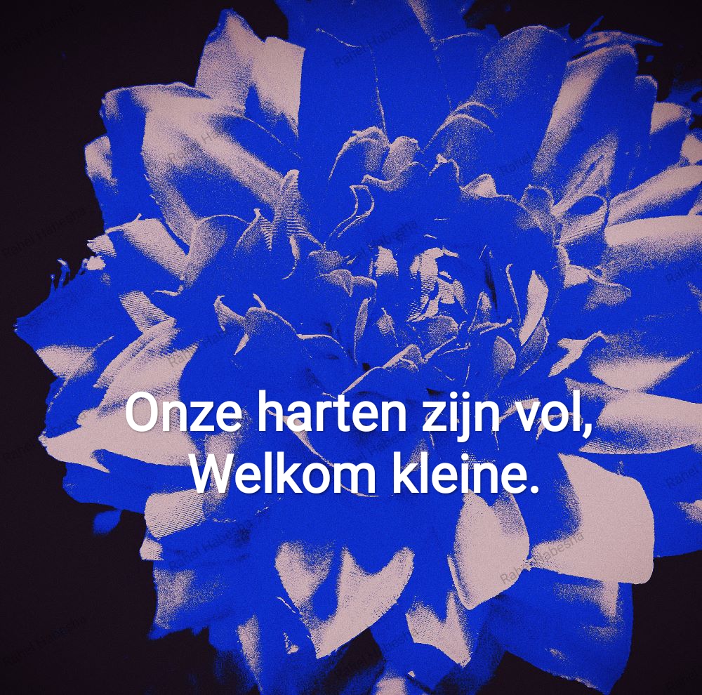 Birth card baby boy-00012