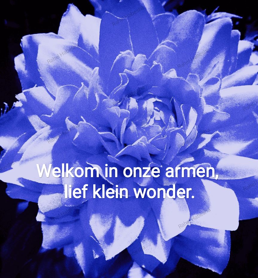 Birth card baby boy-00011