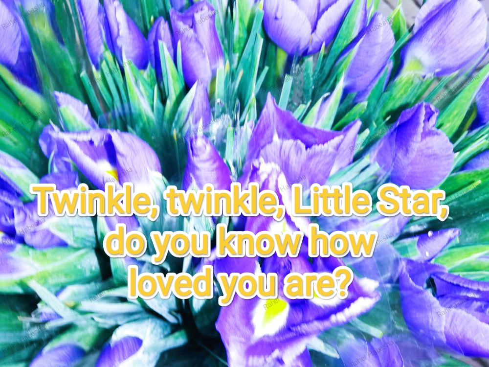 Birth card baby boy-0002