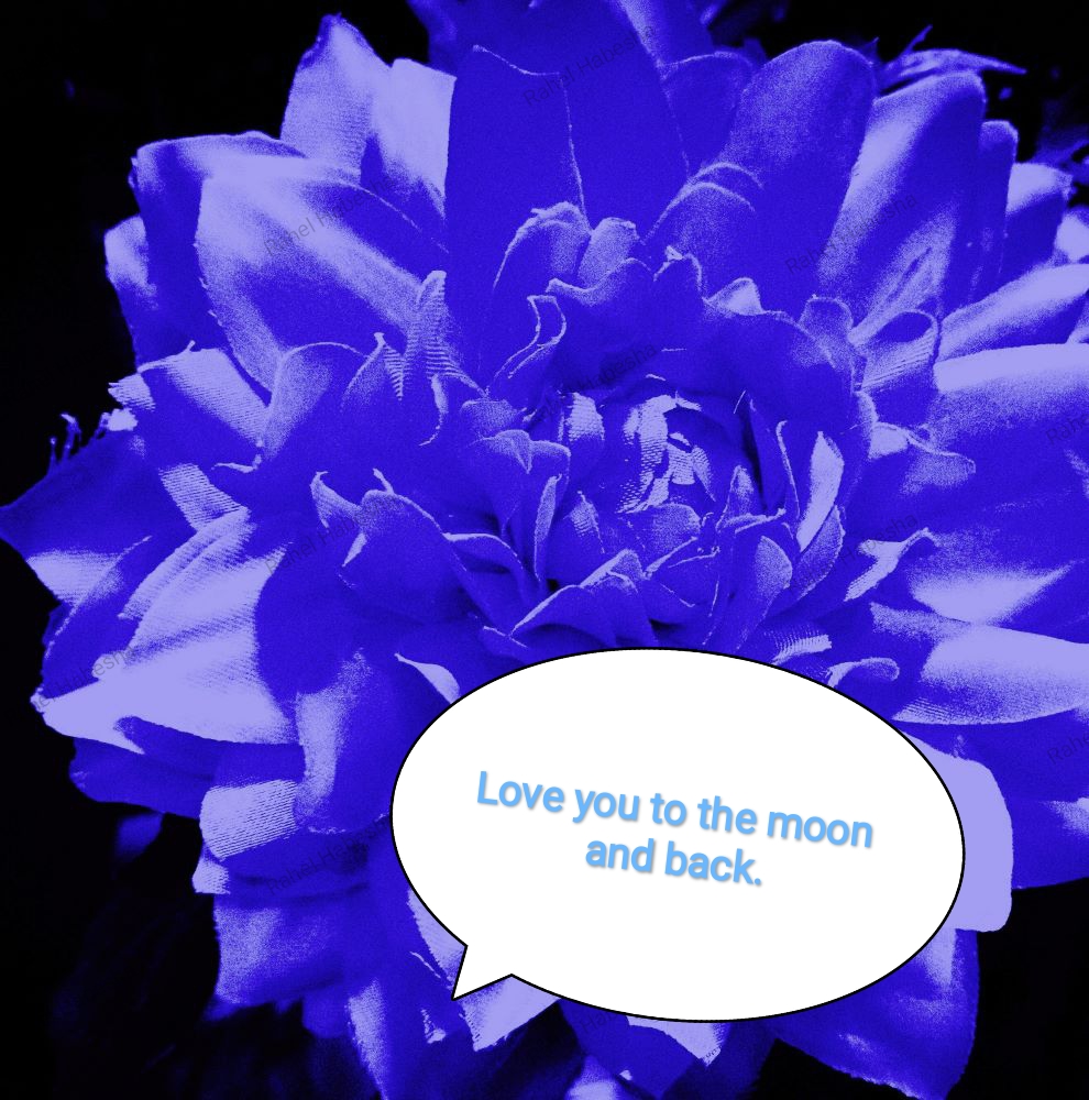 Birth card baby boy-00019