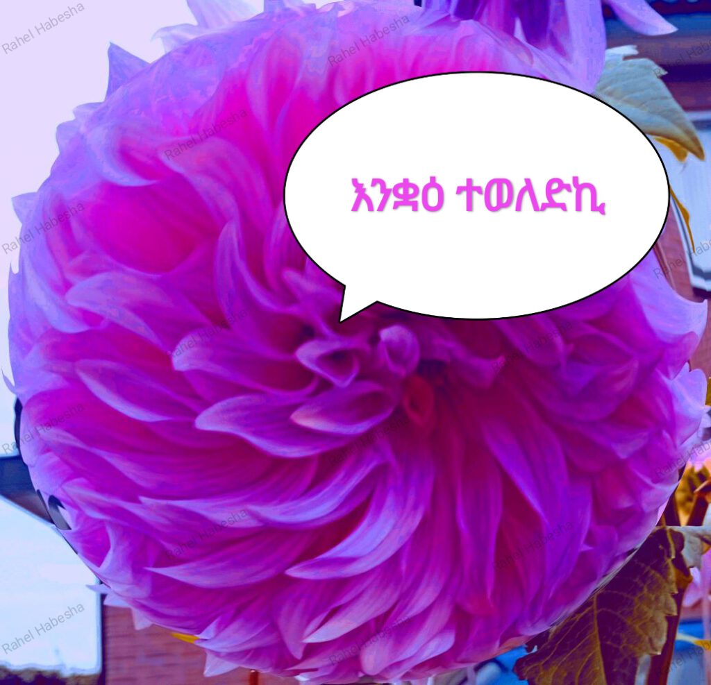 Birth card baby Girl-00010