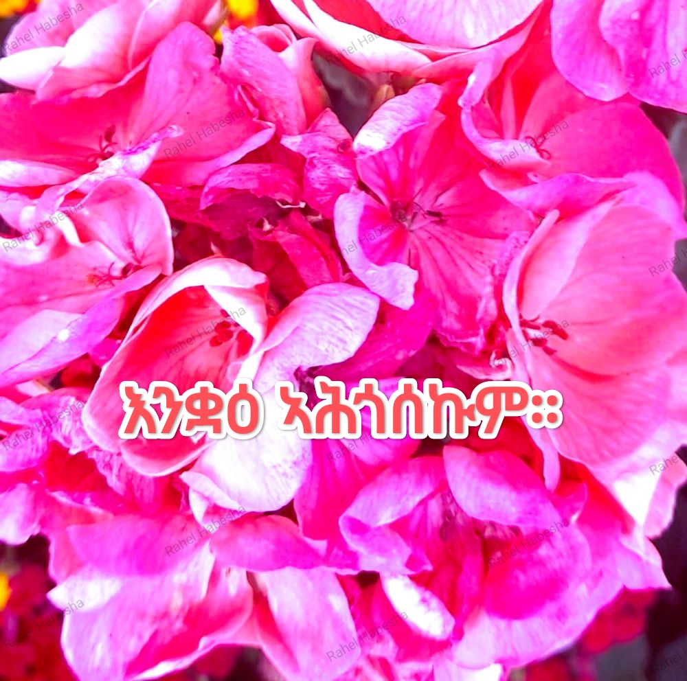 Birth card baby Girl-0009