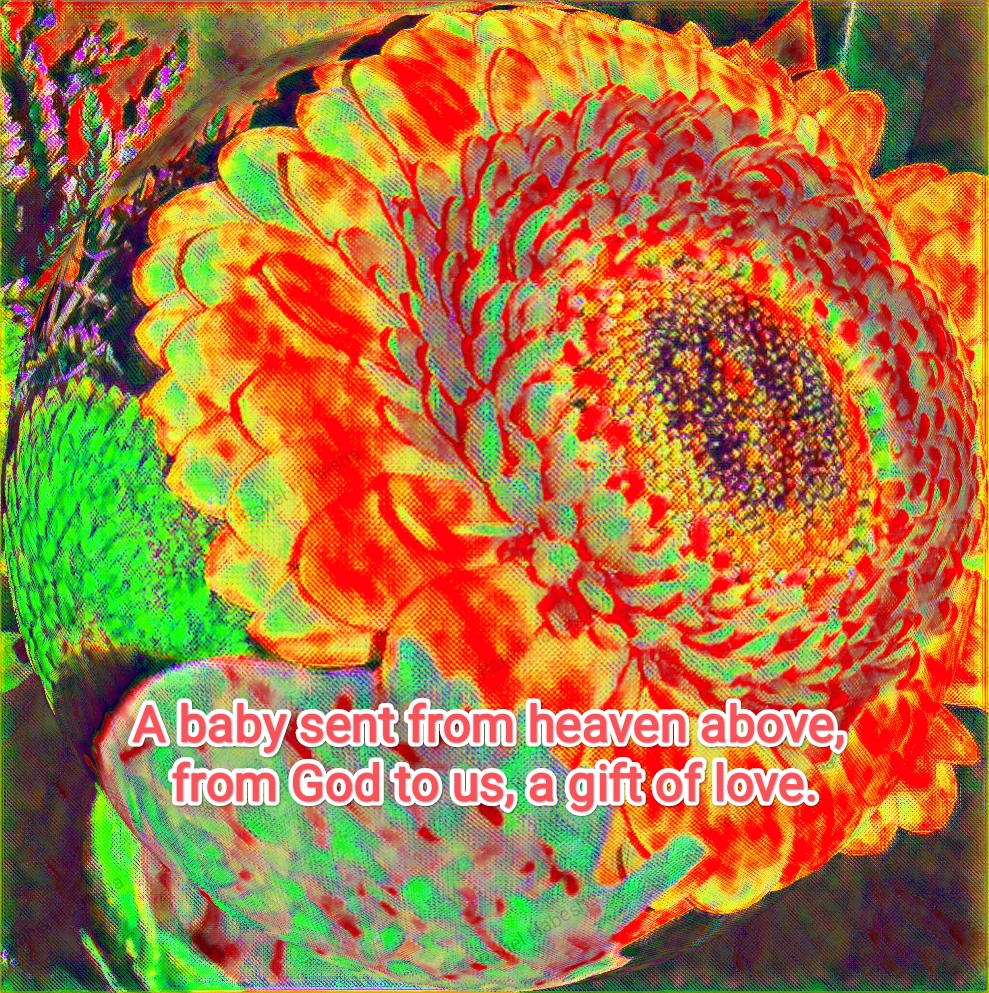 Birth card baby Girl-0006