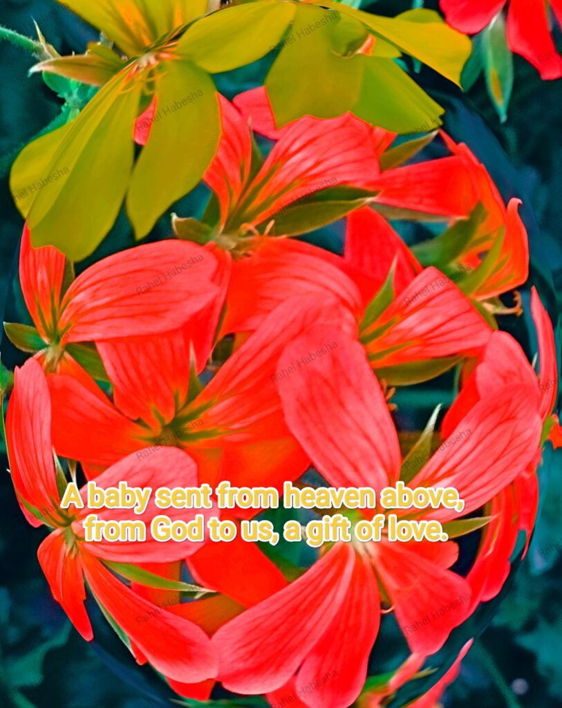 Birth card baby Girl-0005