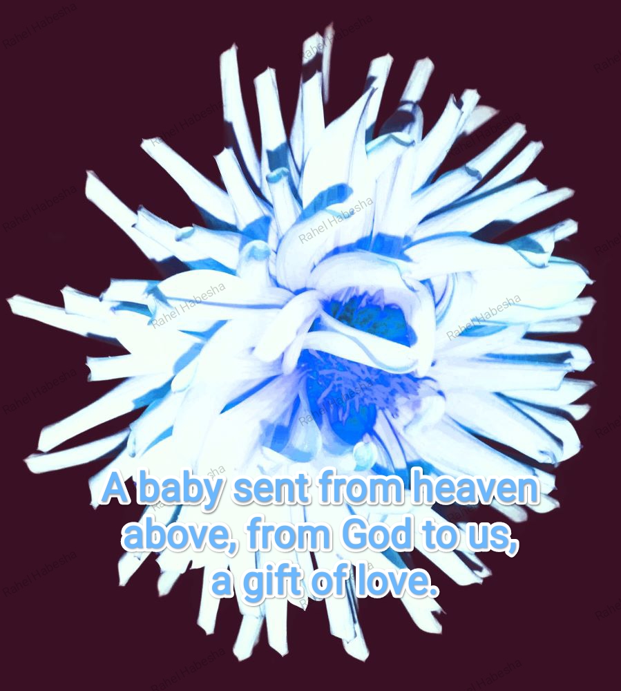 Birth card baby boy-00017