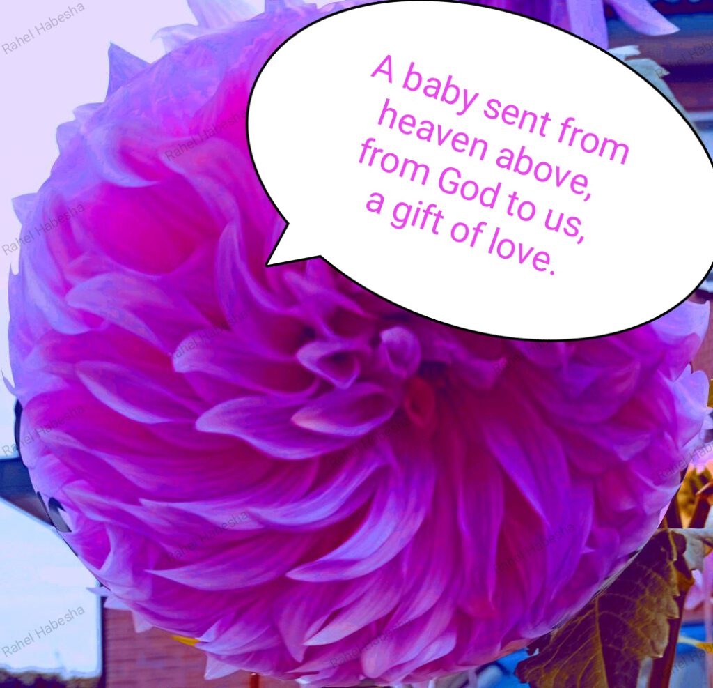 Birth card baby Girl-0004