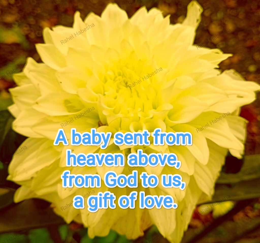 Birth card baby Girl-0003