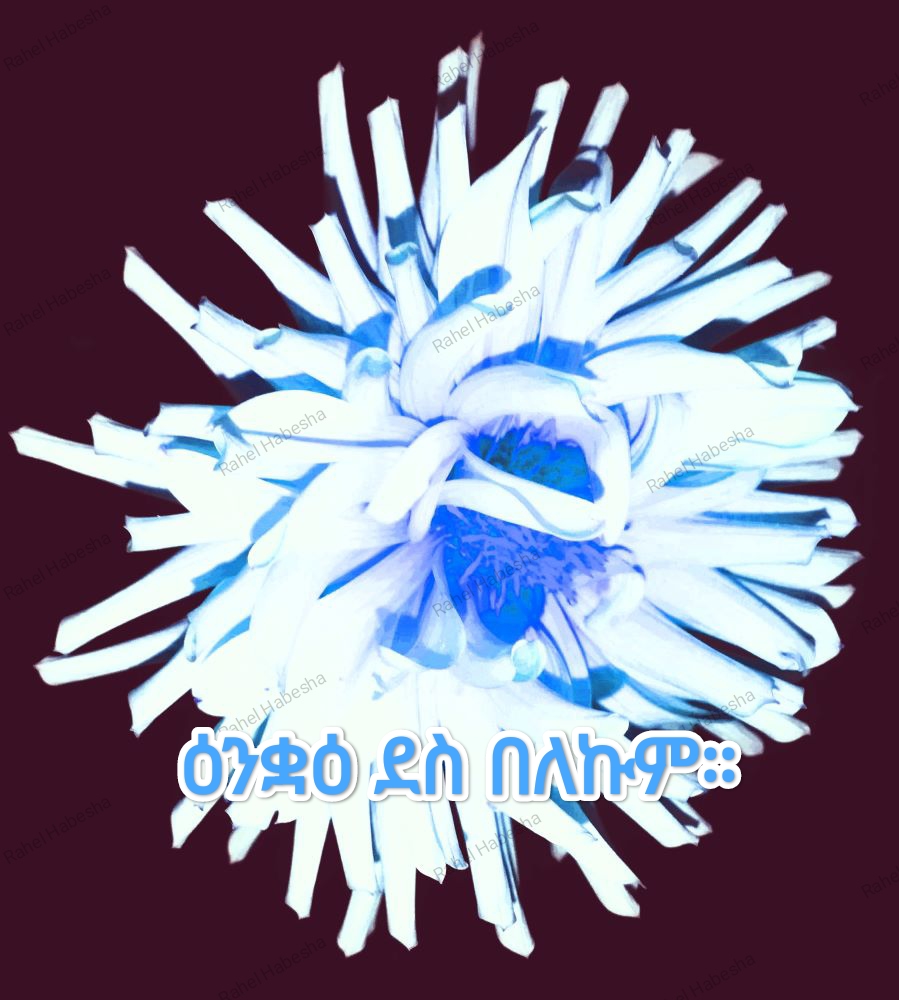 Birth card baby boy-00015