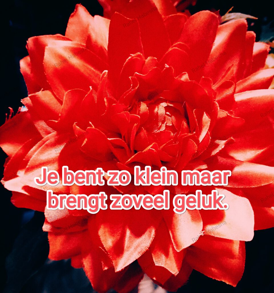 Birth card baby Girl-0001