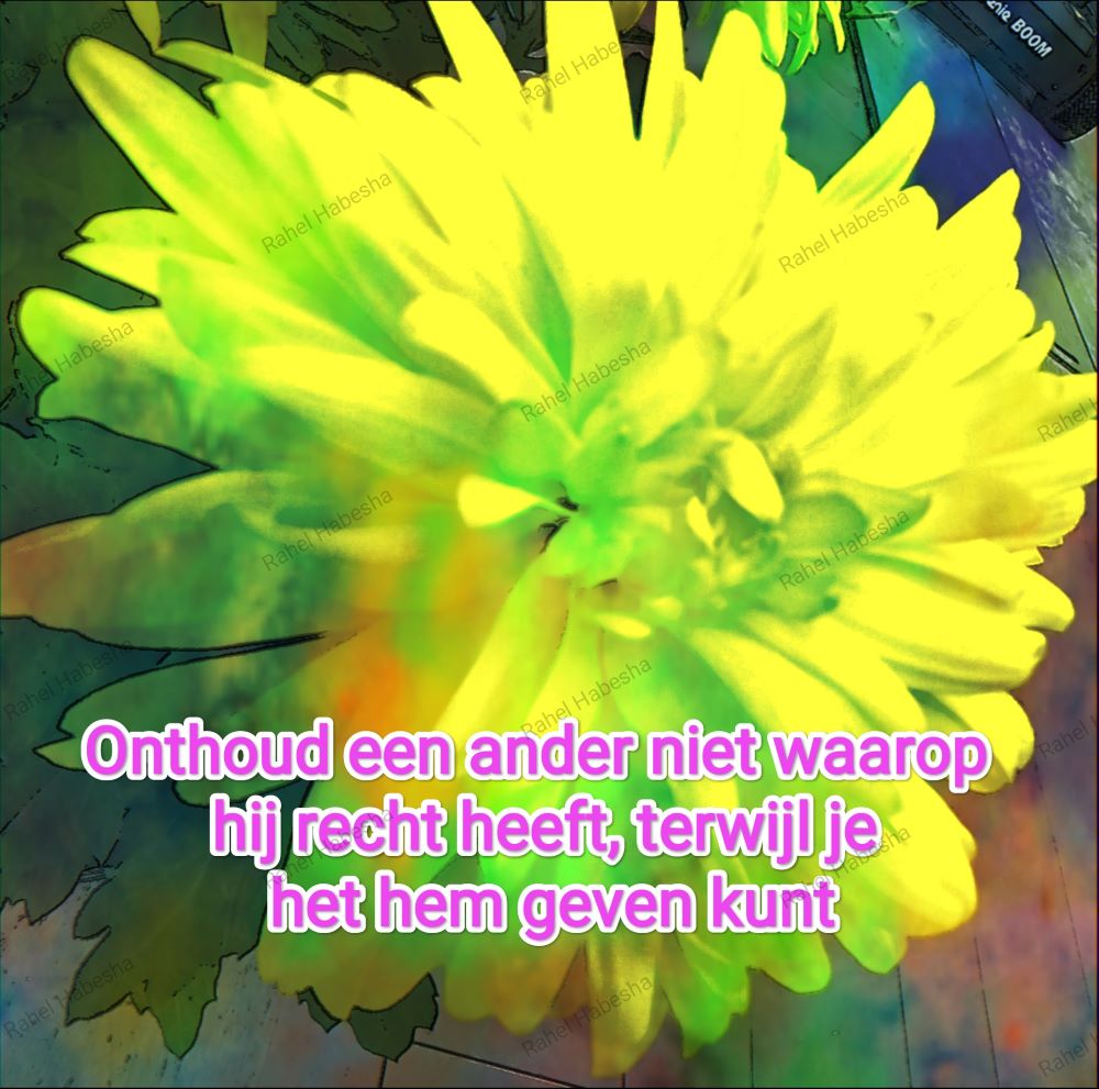 Ascension Day/ዕርገት/ Hamelvaart-00080