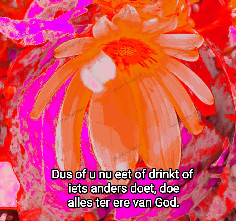 Ascension Day/ዕርገት/ Hamelvaart-00076