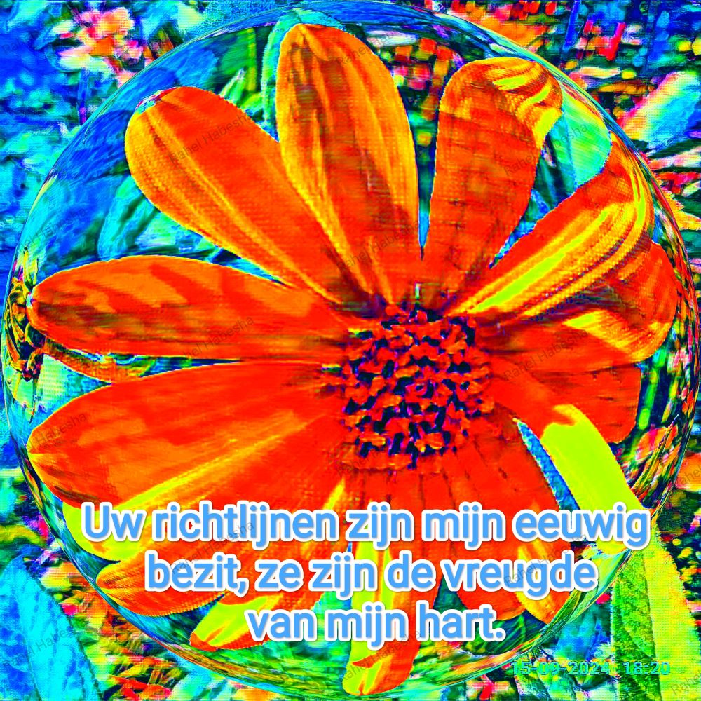 Ascension Day/ዕርገት/ Hamelvaart-00075