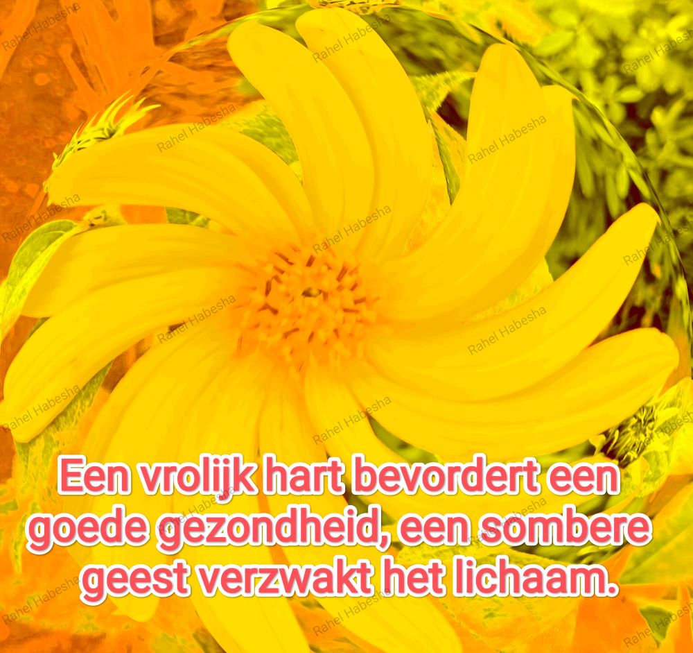 Ascension Day/ዕርገት/ Hamelvaart-00074