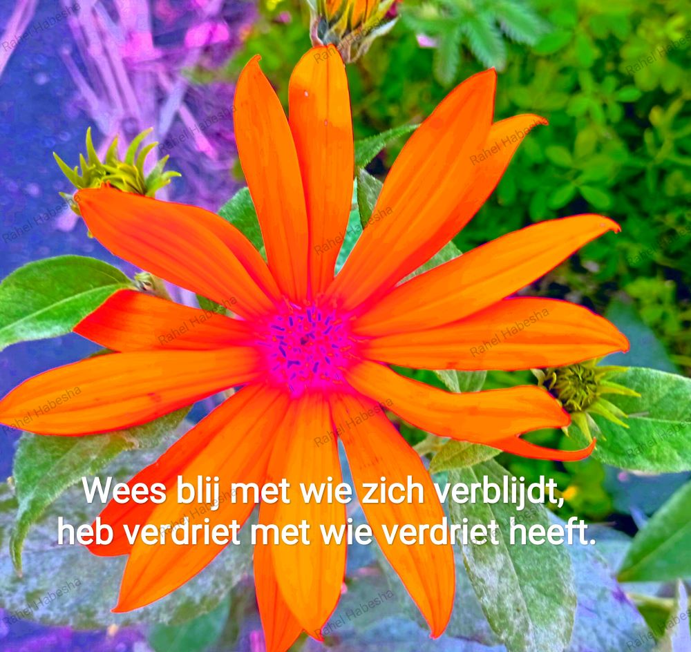 Ascension Day/ዕርገት/ Hamelvaart-00073