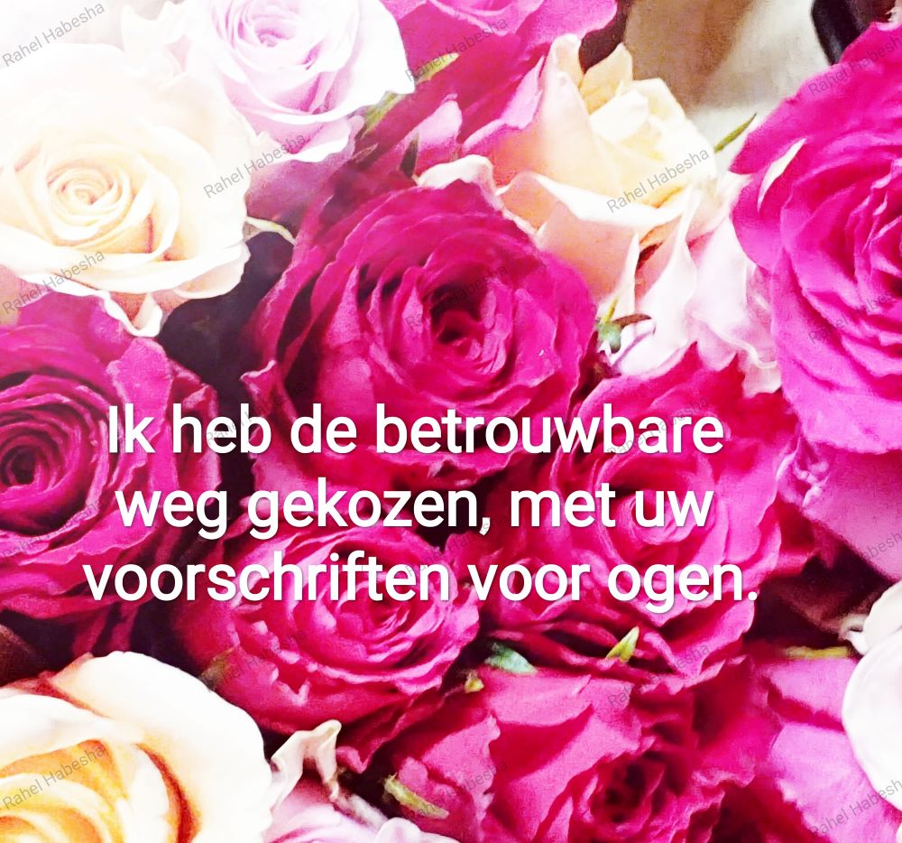 Ascension Day/ዕርገት/ Hamelvaart-00072