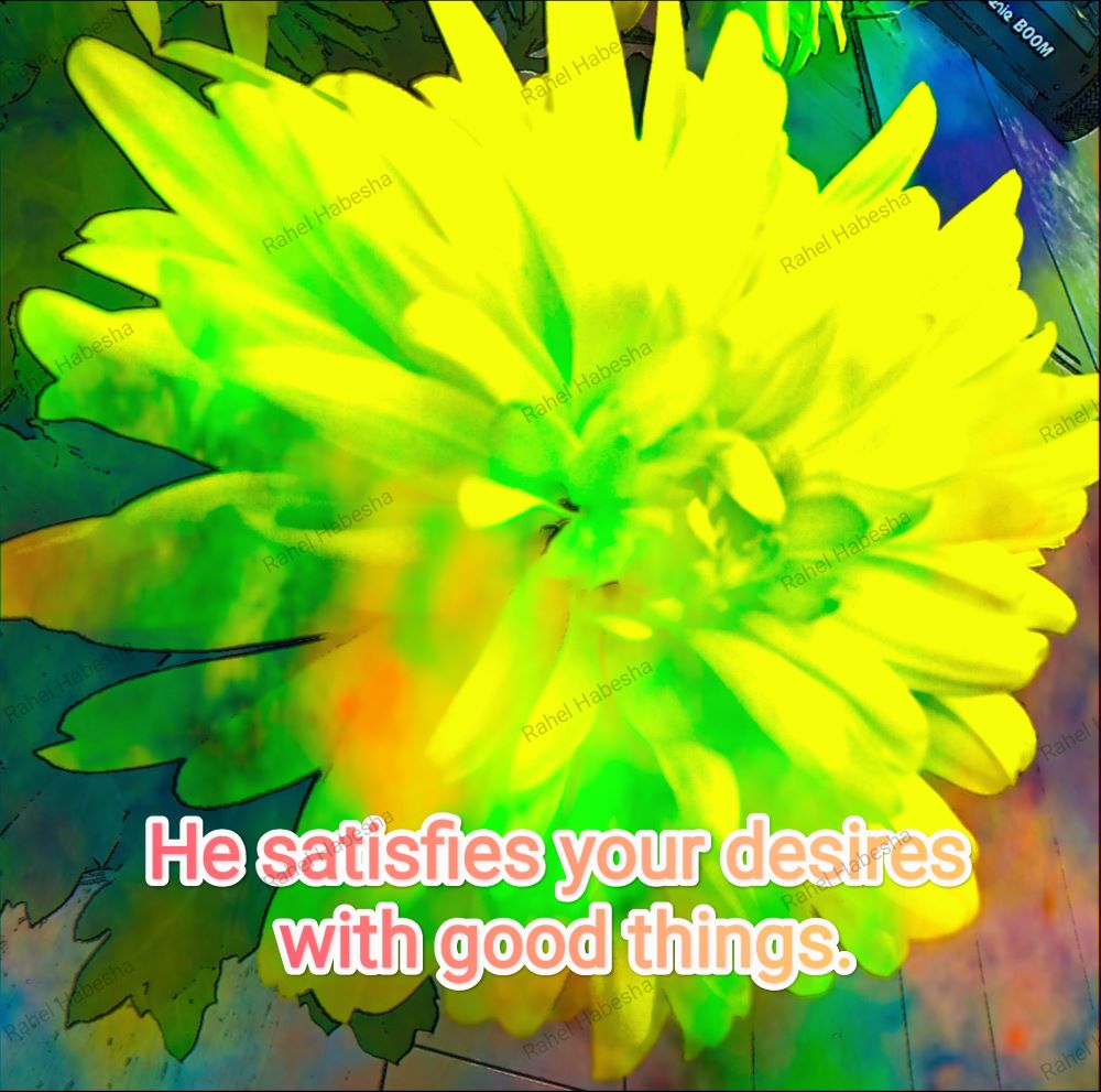 Fiori with Bible texts-00034