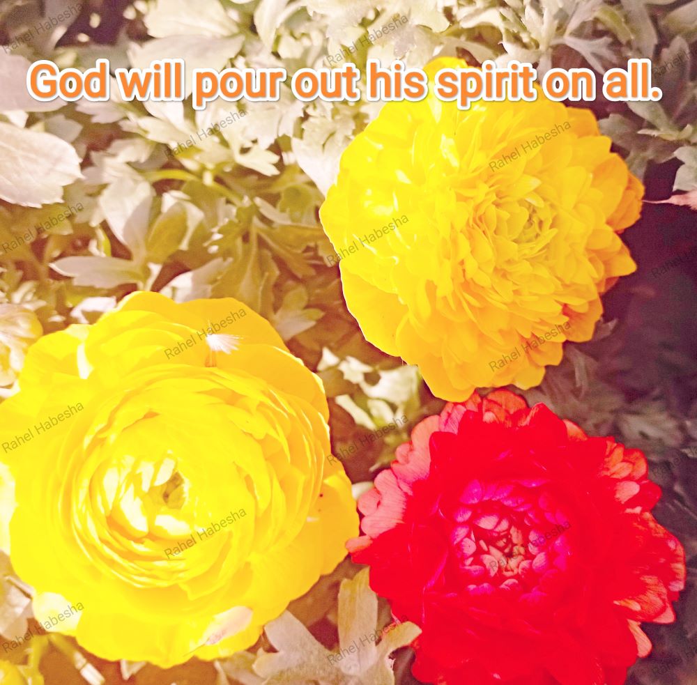 Fiori with Bible texts-00035