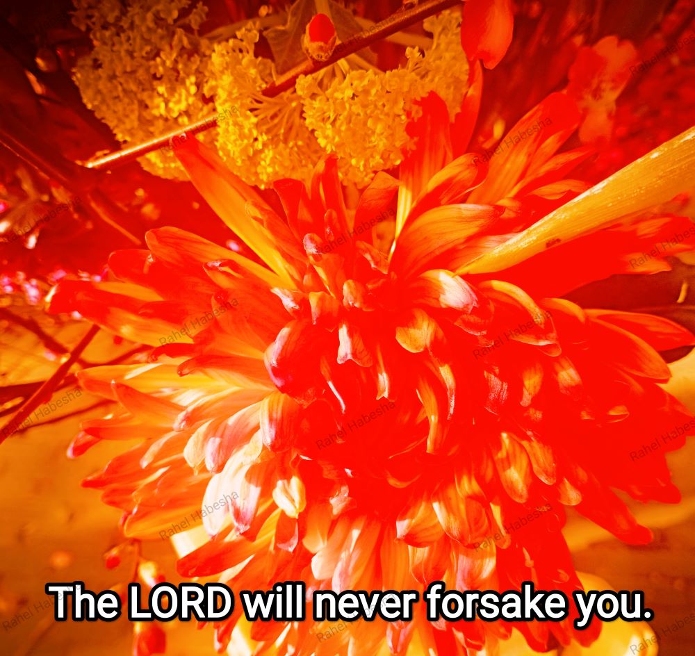 Fiori with Bible texts-00037