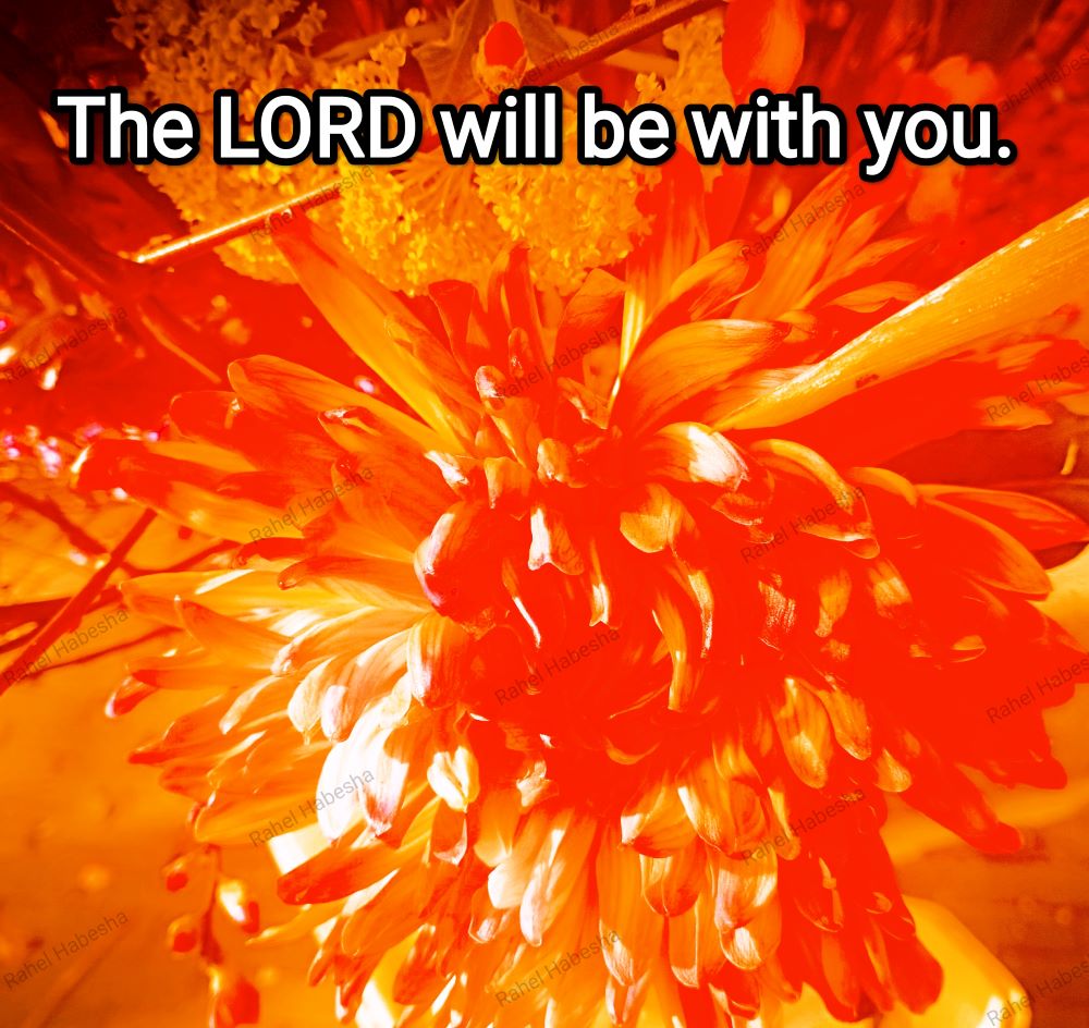 Fiori with Bible texts-00036