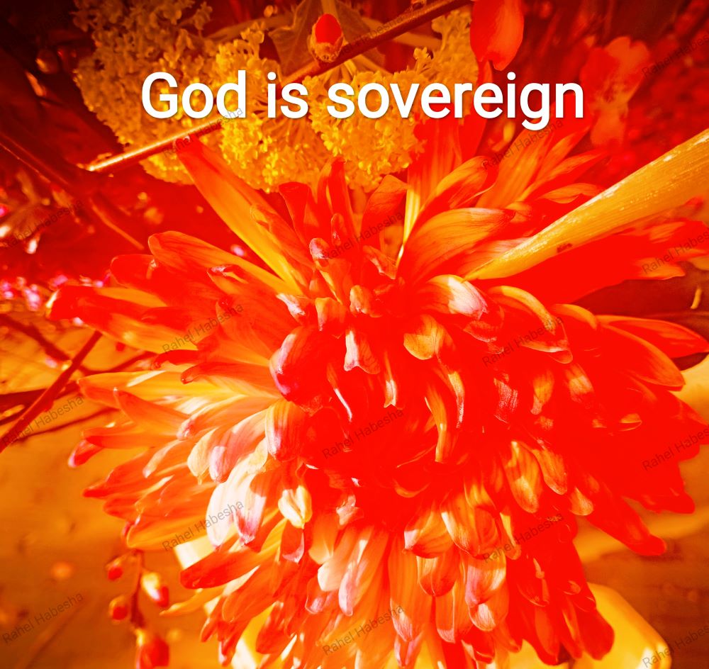 Fiori with Bible texts-00029