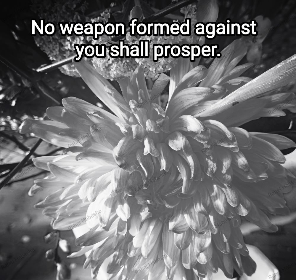 Fiori with Bible texts-00028