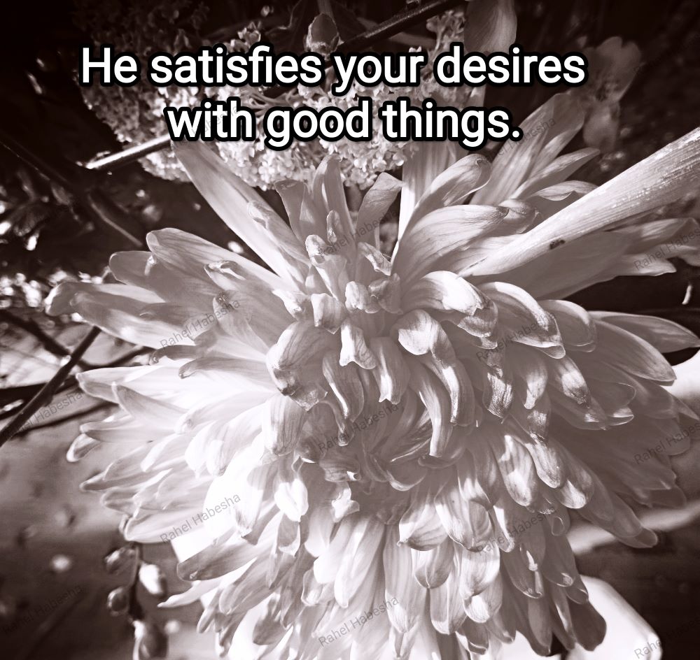 Fiori with Bible texts-00027