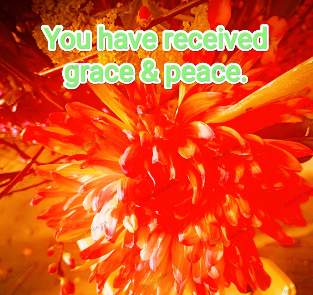 Fiori with Bible texts-00026