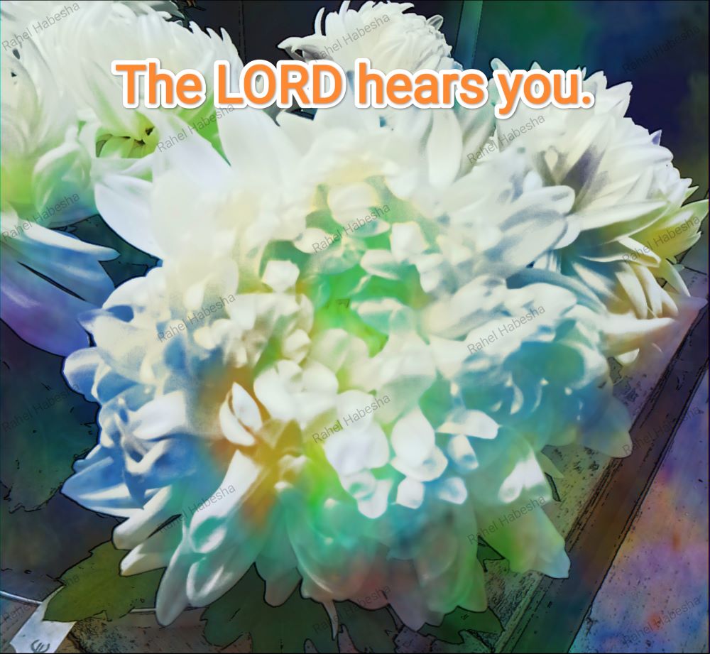 Fiori with Bible texts-00024