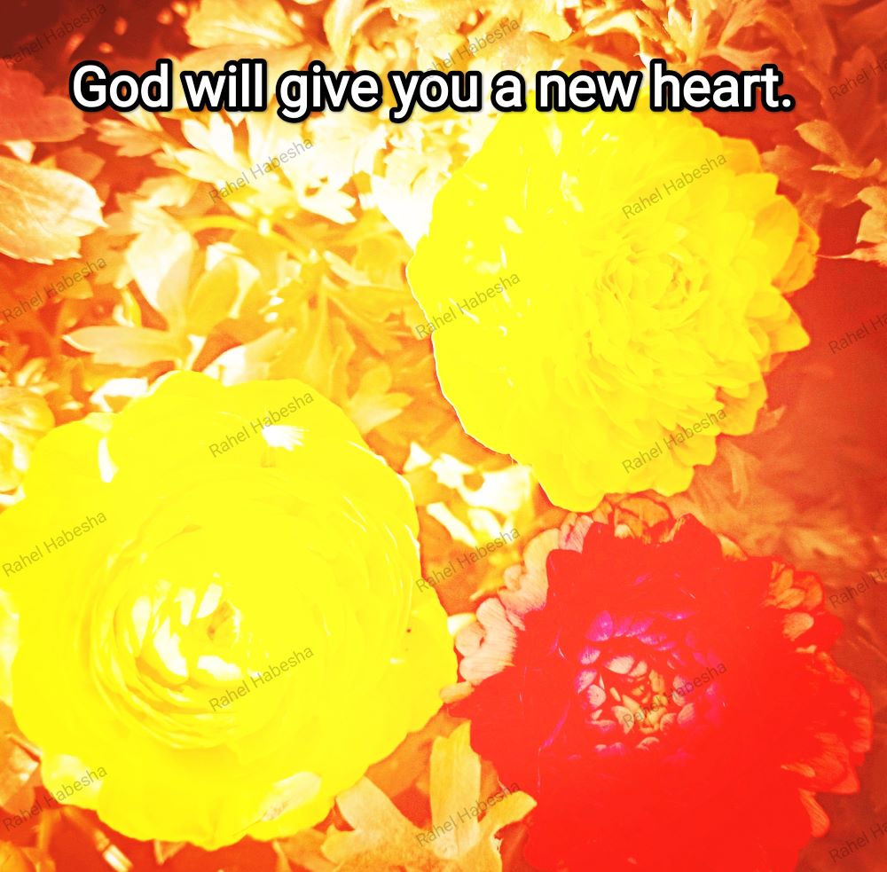 Fiori with Bible texts-00022