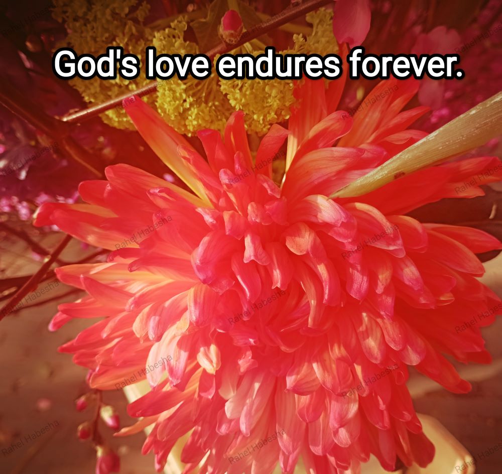 Fiori with Bible texts-00021