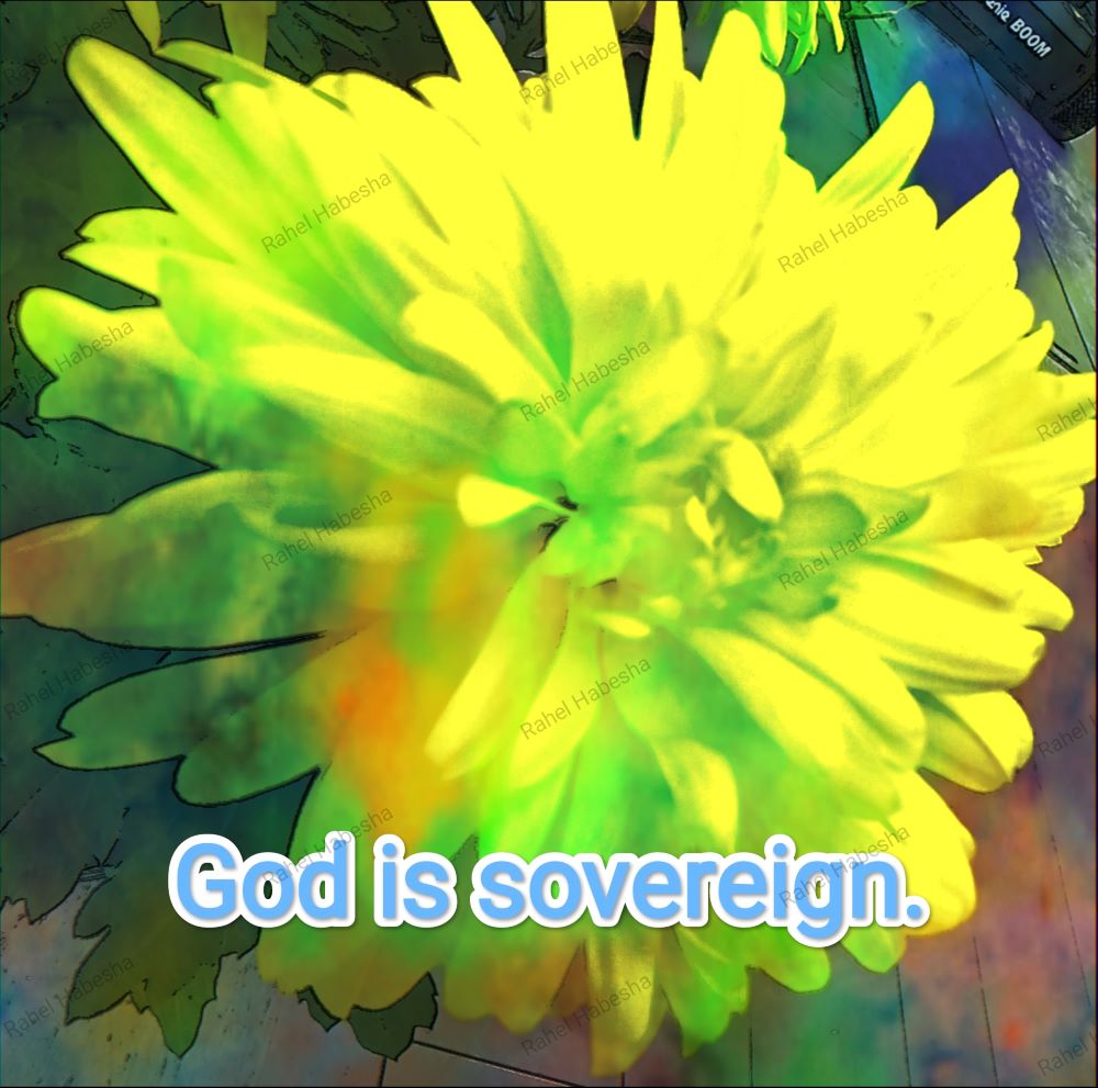 Fiori with Bible texts-00020