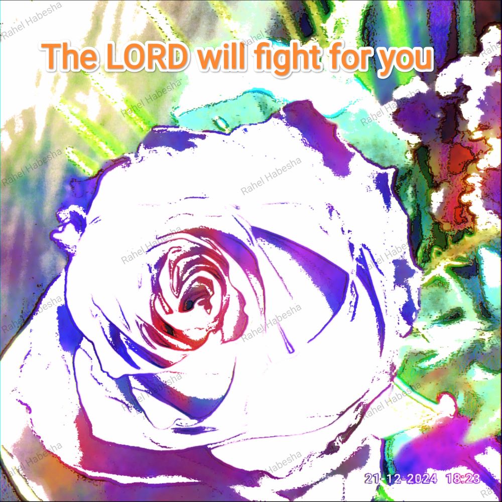 Fiori with Bible texts-00017