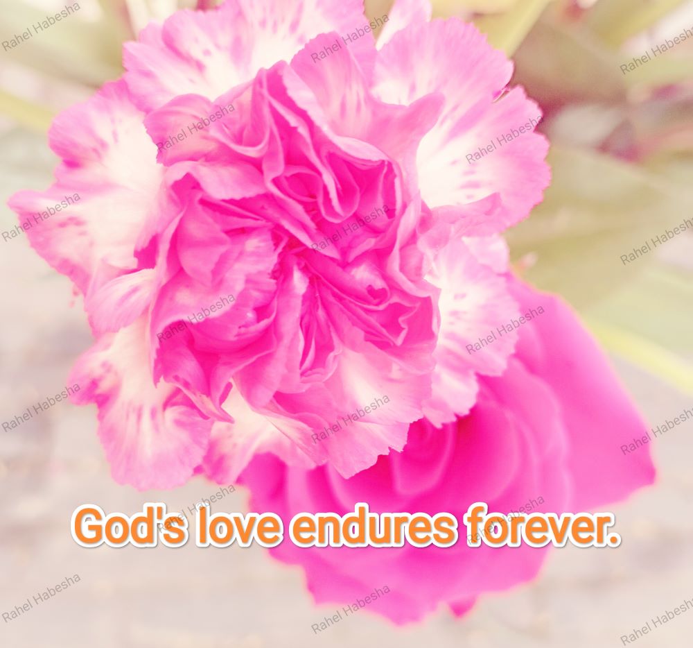 Fiori with Bible texts-00015