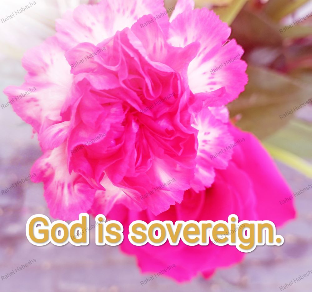 Fiori with Bible texts-00014