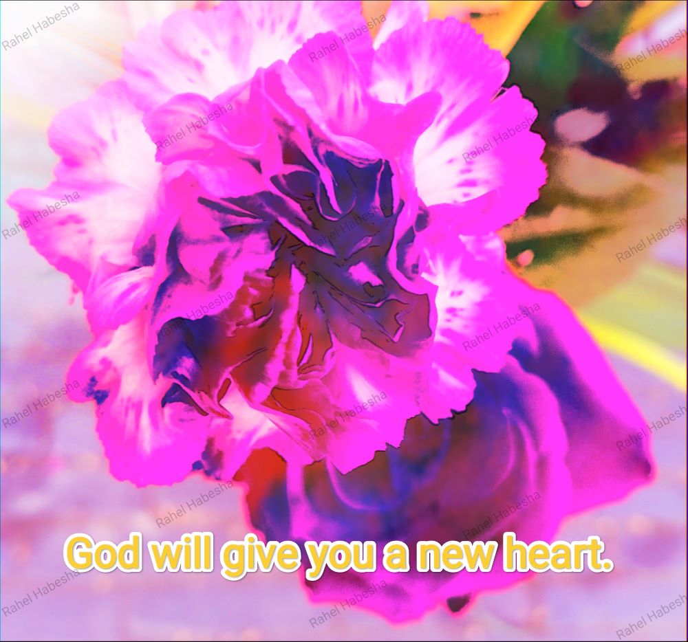 Fiori with Bible texts-00013