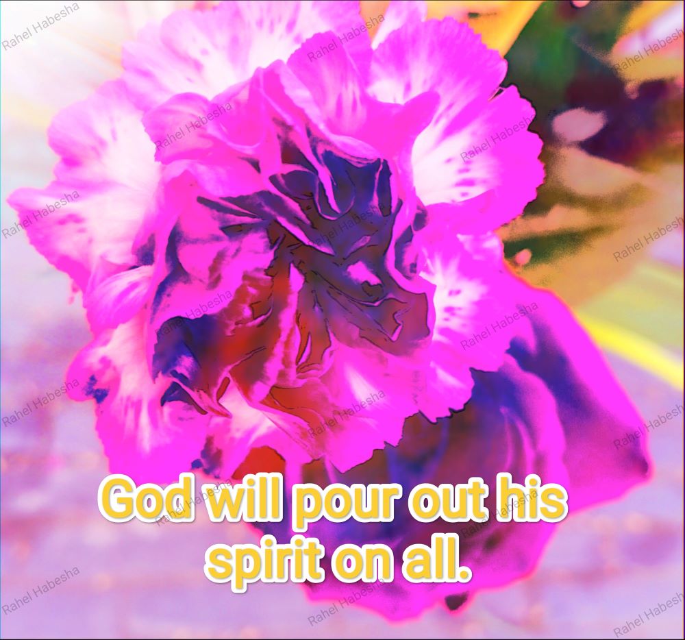 Fiori with Bible texts-00010