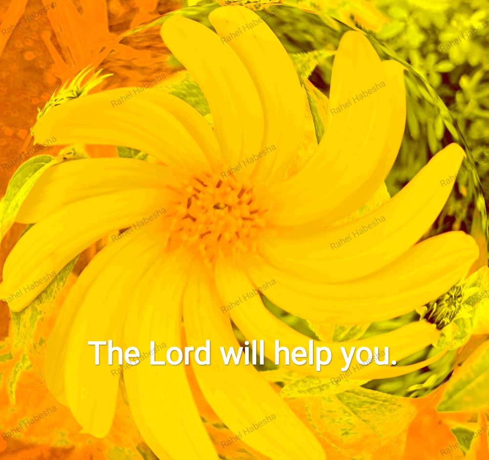 Fiori with Bible texts-0005