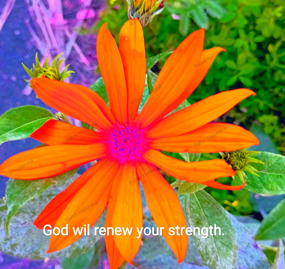 Fiori with Bible texts-0004