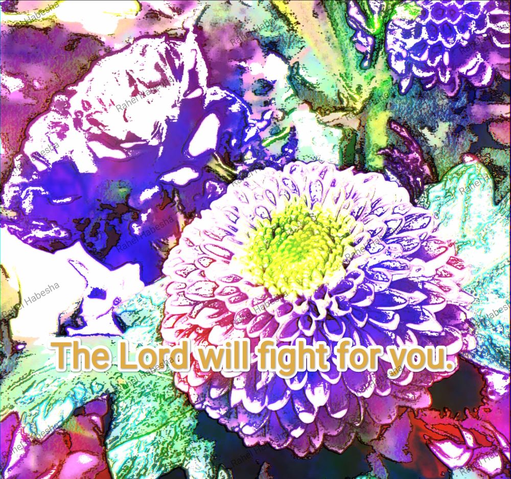 Fiori with Bible texts-0002