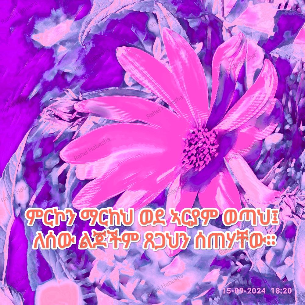 Ascension Day/ዕርገት/ Hamelvaart-00044