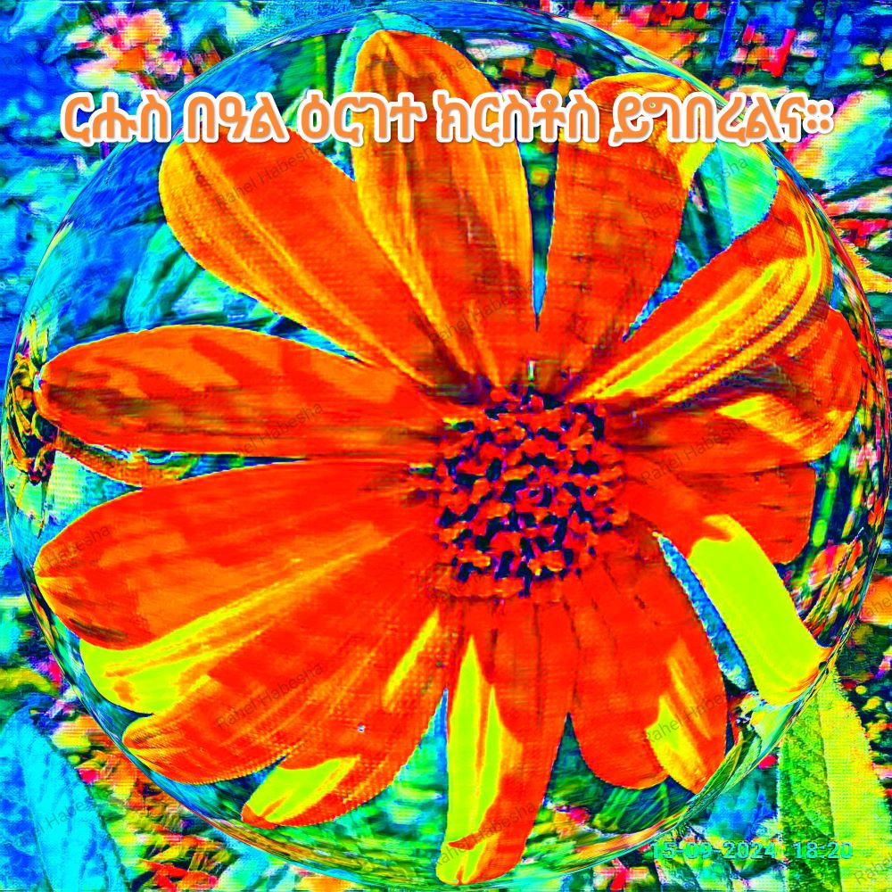 Ascension Day/ዕርገት/ Hamelvaart-00037