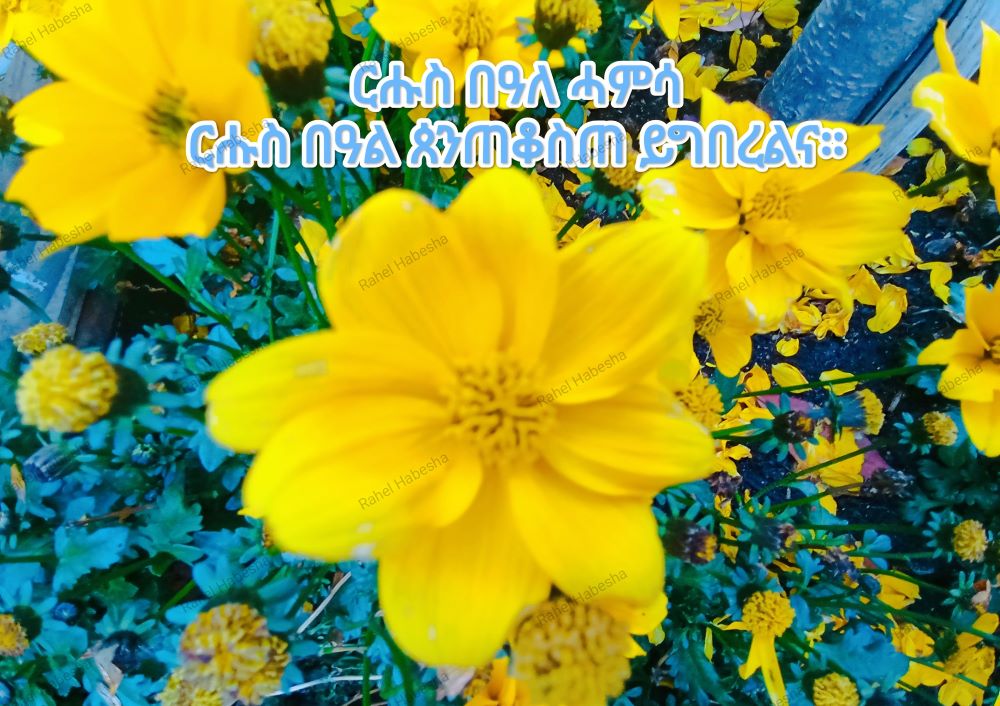 Pentecost/ጴንጠቆስጠ/ Pinkstre/በዓለሓምሳ-00065